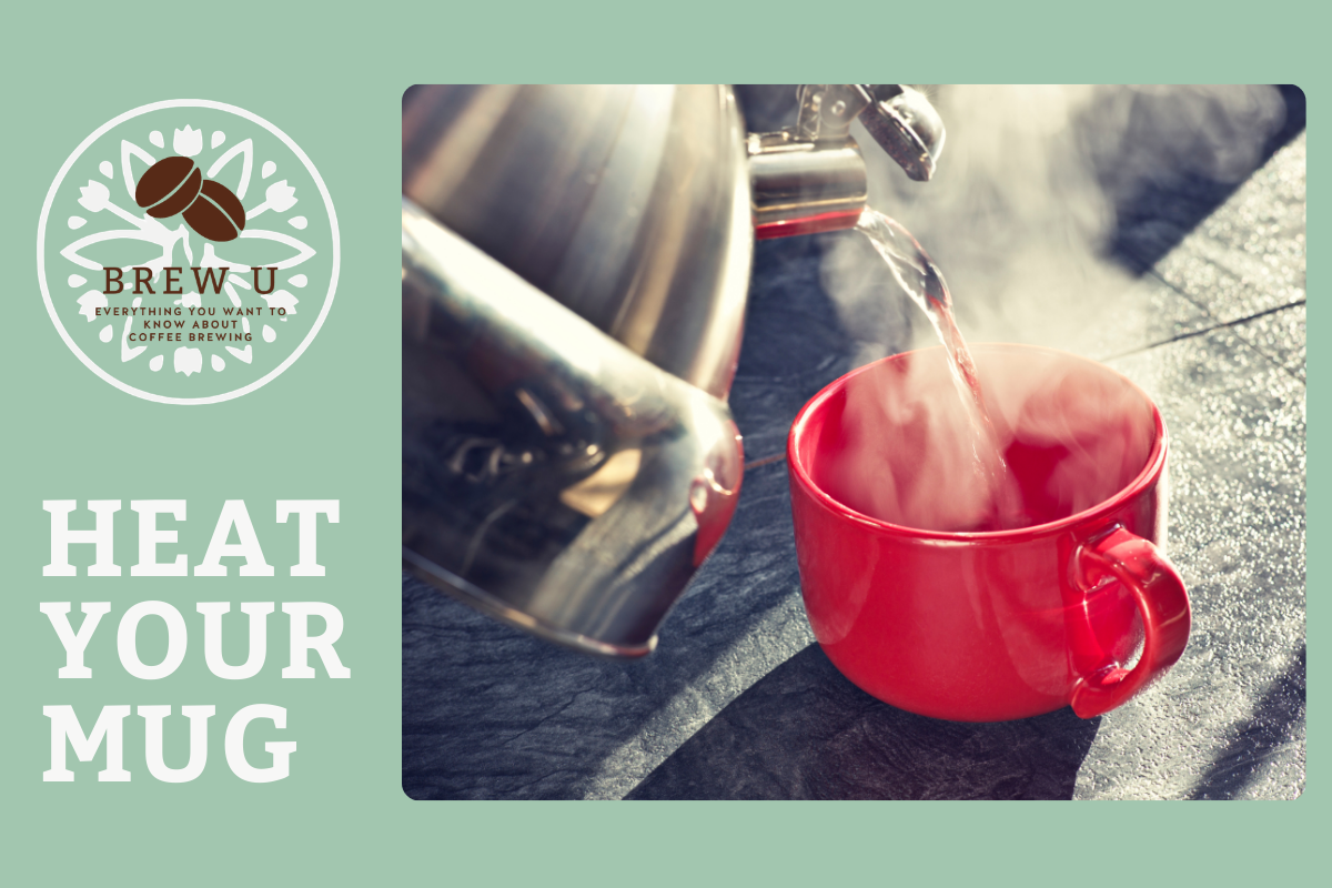 Why Warming Your Mug Makes Better Coffee