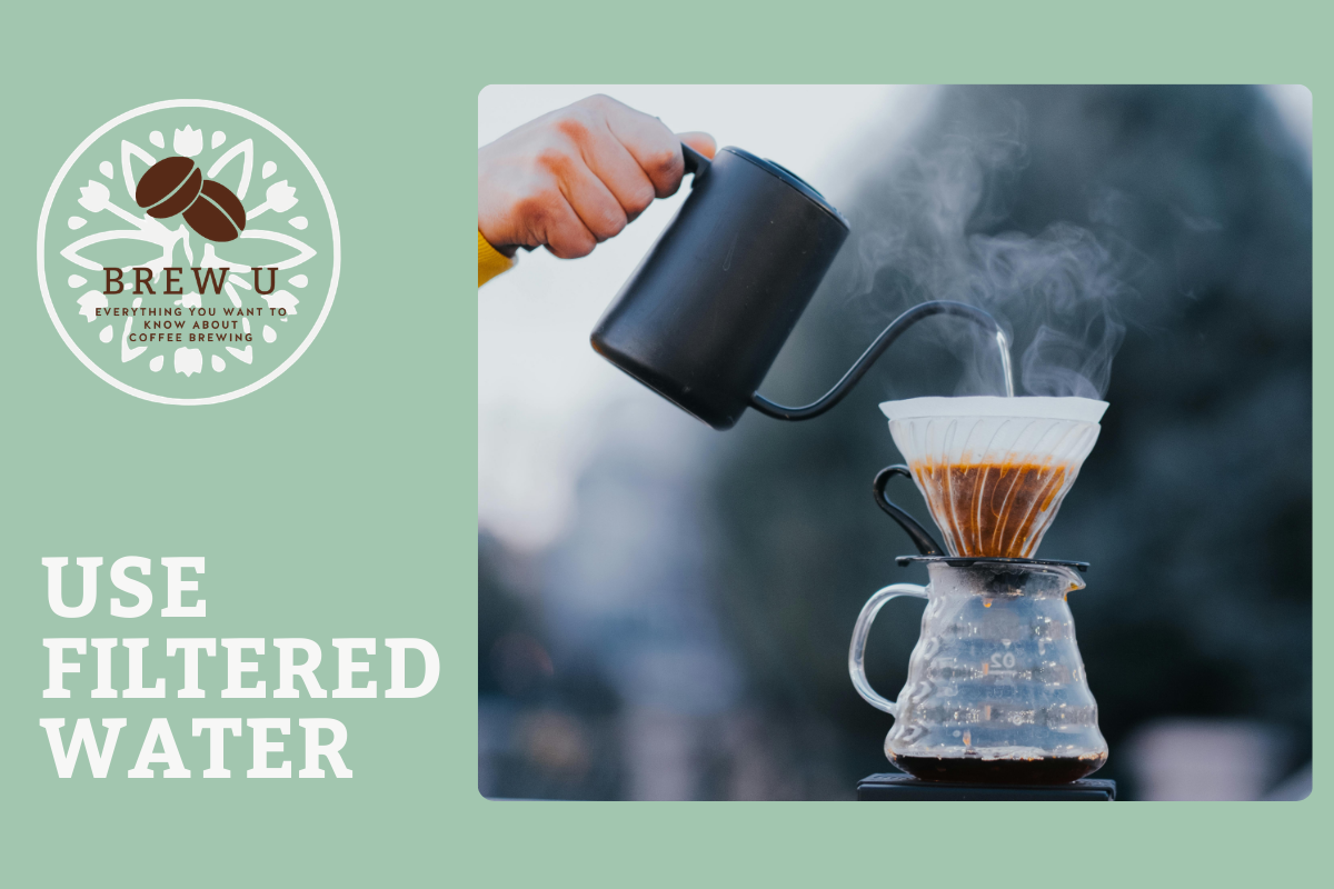 Why You Should Brew with Filtered Water