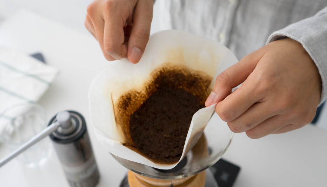 EarthDay-Coffee-Grounds-Plants-Reuse-Recycle