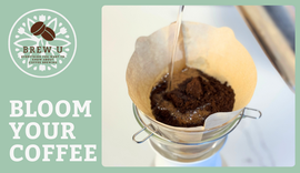 bloom your coffee brewing tips for home coffee