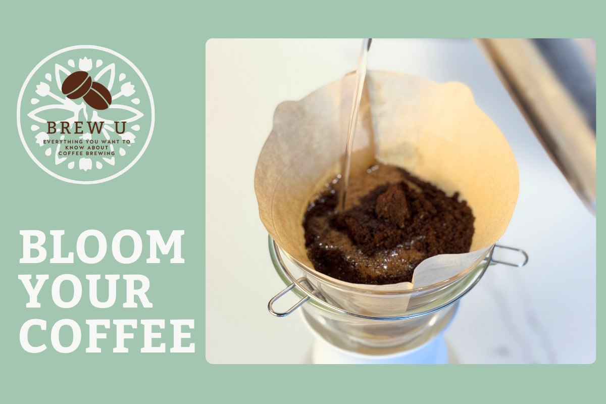 Bloom Your Coffee: A Simple Pour-Over Tip That Makes a Big Difference