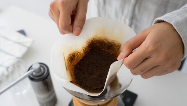EarthDay-Coffee-Grounds-Plants-Reuse-Recycle