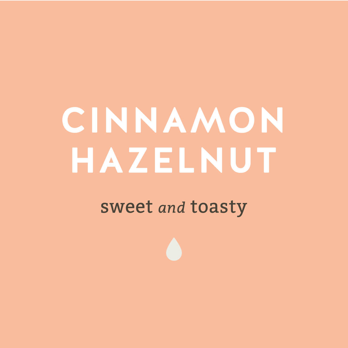 Cinnamon Hazelnut Flavored Coffee Sweet and Toasty - Lancaster County Coffee