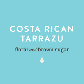 Costa Rican Tarrazu Floral and Brown Sugar Coffee - Lancaster County Coffee