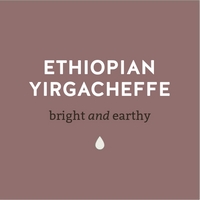Ethopian Yirgacheffe-Bright and Earthy Coffee - Lancaster County 