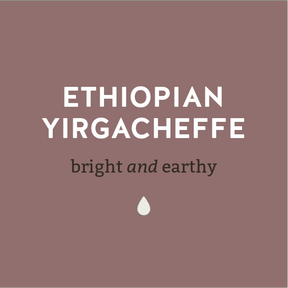 Ethopian Yirgacheffe-Bright and Earthy Coffee - Lancaster County 